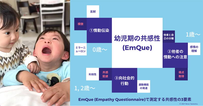 1～2歳頃から、自己と他者を切り離し、相手の感情を正しく理解した上で、自発的に向社会的行動を取るようになります（右図）。たとえば、自分は楽しくおもちゃで遊んでいても、泣いている他児に寄り添ってなぐさめるなど、相手を思いやった行動がみられます（左図）。