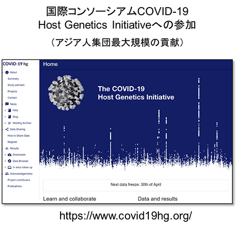 国際共同研究を通じた新型コロナウイルス感染重症化因子の同定への貢献