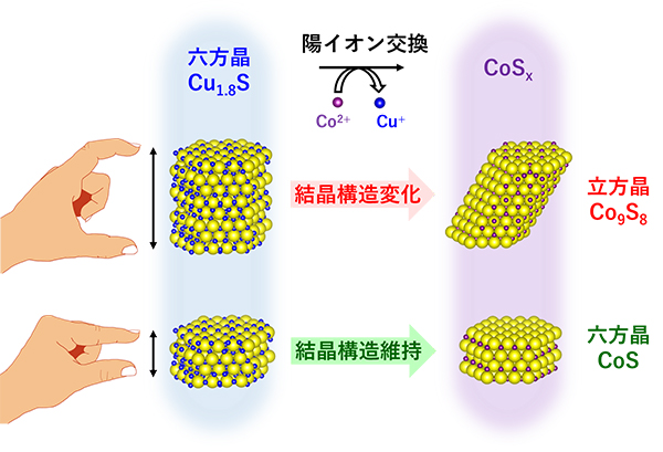 本研究の概要図