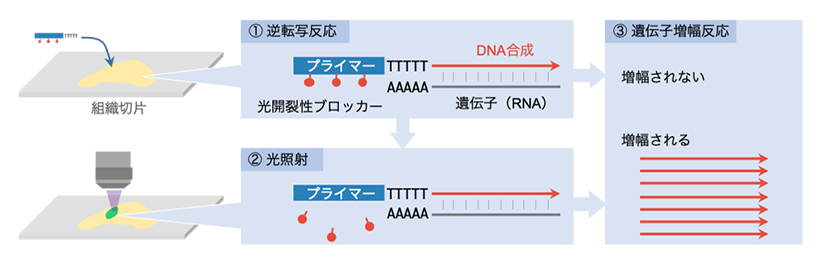 PICの原理