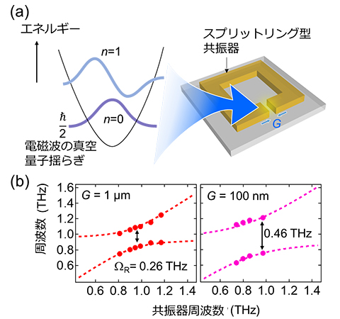 図：（a）スプリットリング共振器にある電磁波の真空量子揺らぎの模式図と（b）共振器のギャップ長Gを小さくしたときにフォノンの真空ラビ分裂ΩRの増大を示す実験結果。