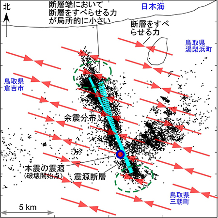 本研究の概要図