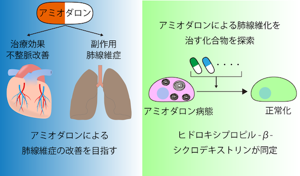 本研究の概要図