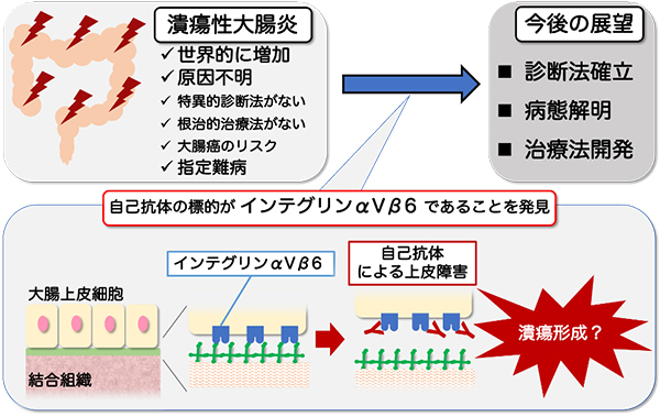 本研究の概要図