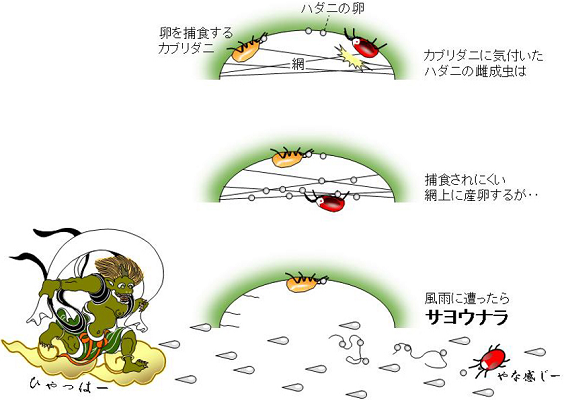 本研究の概要図