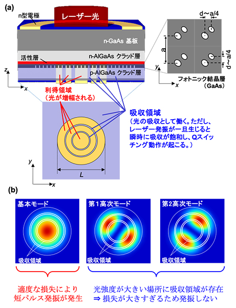 （a）利得と吸収を2次元的に配置した短パルスフォトニック結晶レーザーの模式図。（b）吸収領域の2次元的な配置の例。