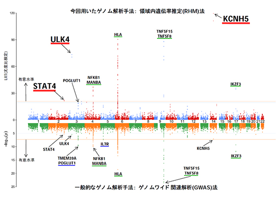 PBC罹患群と一般集団とのゲノム情報解析結果の比較　提案手法RHM法（上）および、一般的なGWAS法（下）による。新規領域を赤下線で表示している。