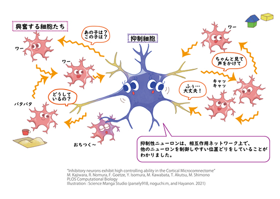 本研究の概要図