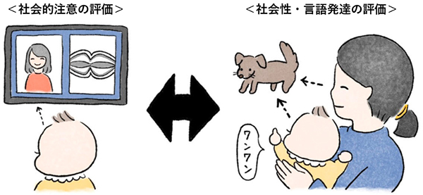 本研究のイメージ図