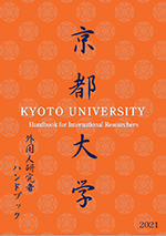 文章を入れてください