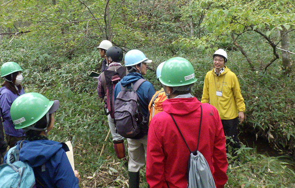 文章を入れてください
