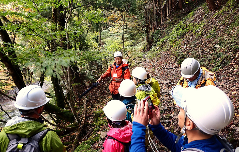 文章を入れてください