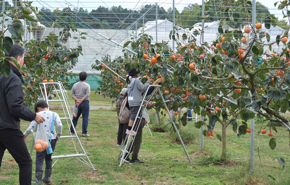 文章を入れてください