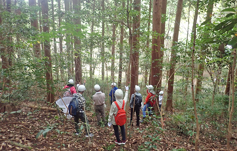 文章を入れてください