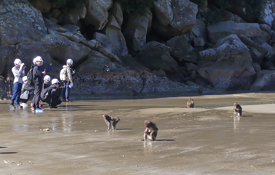 文章を入れてください