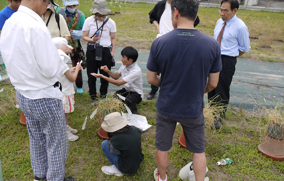 文章を入れてください