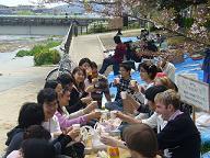 Having a toast at the beginning of the picnic