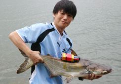 rakuyu12_a3.jpg