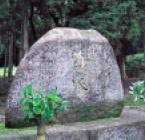 rakuyu2_b5.jpg Photo