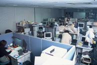 rakuyu3_a5.jpg photo