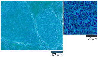 figure3