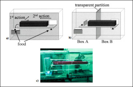 figure2