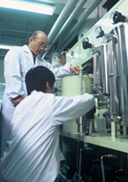 rakuyu7_b4.jpg photo
