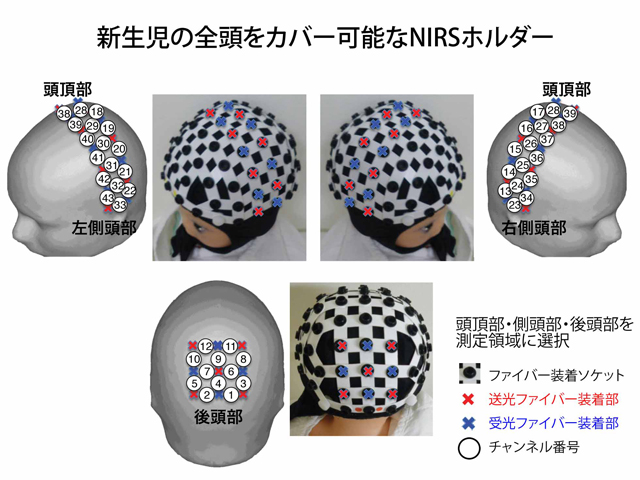 新生児にも脳の機能局在があり、触覚刺激が脳の発達に重要なこと