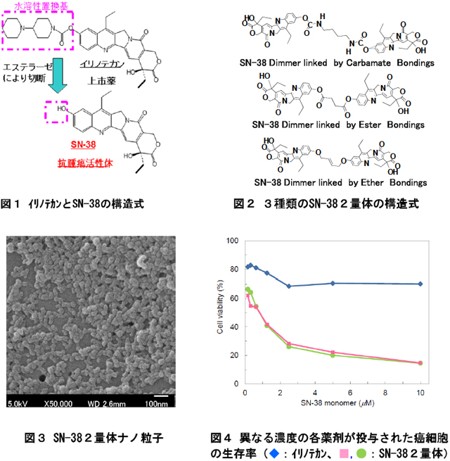 ナノ純薬による抗癌剤の開発 ～副作用の無い次世代ドラッグデリバリーを目指して～