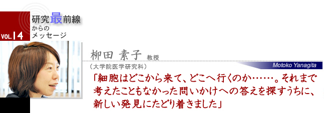 細胞はどこから来て、どこへ行くのか……。それまで考えたこともなかった問いかけへの答えを探すうちに、新しい発見にたどり着きました