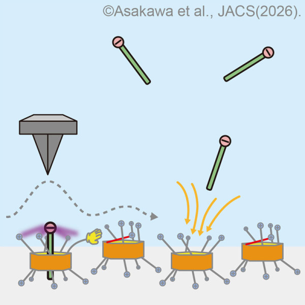 2605-main-Ogoshi.jpg 