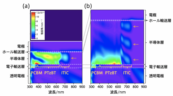 分光エリプソメトリー解析の結果を基にシミュレートした、増感型三元系OPV断面の光吸収の分布