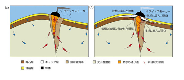 本研究で明らかとなった海底熱水鉱床の生成メカニズム（断面図）。 （a）鉱床生成の初期、（b）鉱床生成の成熟期。ブラックスモーカー：金属成分を多量に含んだ流体、ホワイトスモーカー：金属成分に乏しい流体。