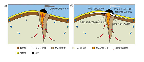 本研究で明らかとなった海底熱水鉱床の生成メカニズム(断面図)。 (a)鉱床生成の初期、(b)鉱床生成の成熟期。ブラックスモーカー:金属成分を多量に含んだ流体、ホワイトスモーカー:金属成分に乏しい流体。
