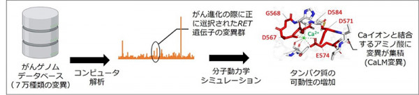 文章を入れてください