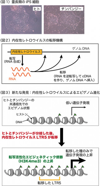 文章を入れてください