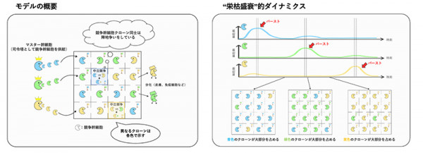 文章を入れてください