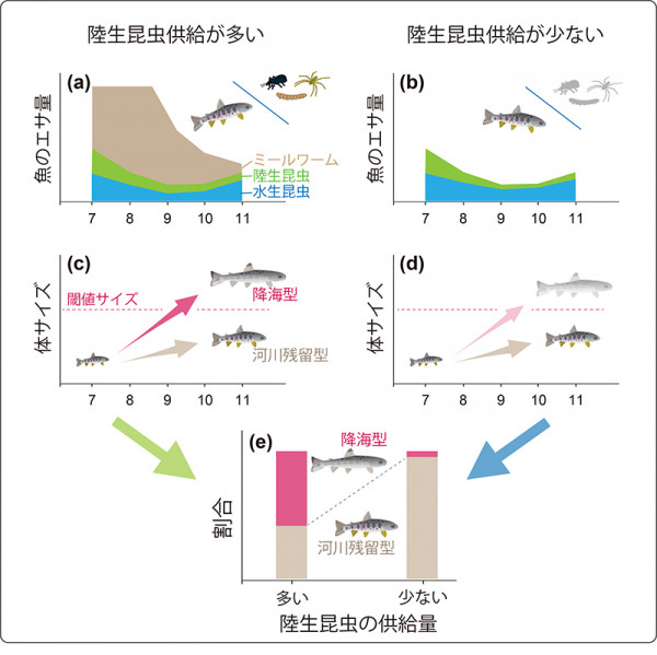 文章を入れてください