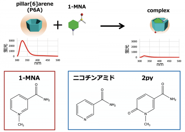 最前線の 激レア 生体分子の分析科学 1 健康/医学 - tme.kmutt.ac.th