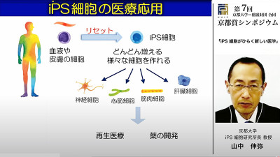 文章を入れてください