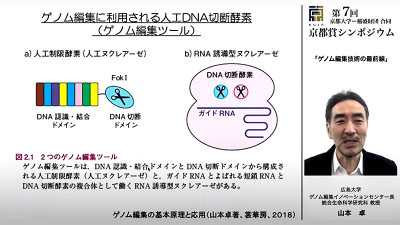 文章を入れてください