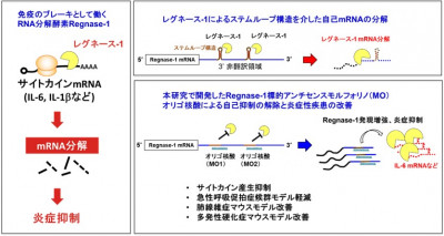 文章を入れてください