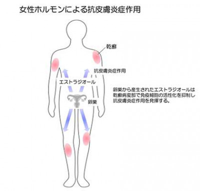 文章を入れてください