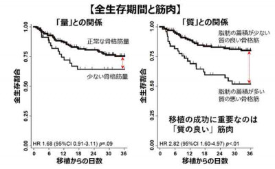 文章を入れてください