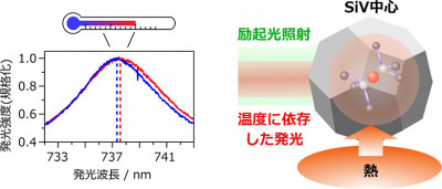 世界最小粒径のナノダイヤモンド温度計測に成功～細胞内など微細な対象の精密な温度測定へ前進～