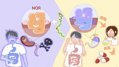 コレラ菌の生存に必須である呼吸鎖酵素の構造を解明～病原性細菌に対する新しい抗菌剤の開発研究へ貢献～