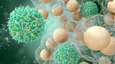 あらゆる固形がんを8種に分類するプログラムを開発～がん治療薬である免疫チェックポイント阻害剤の効果を事前予測～