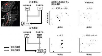 文章を入れてください