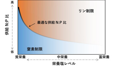 文章を入れてください