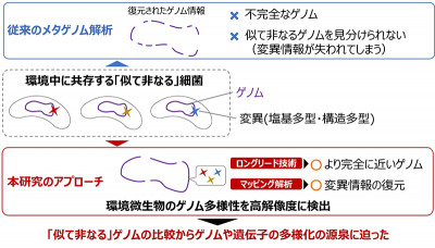 文章を入れてください